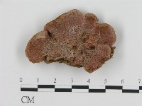 登錄號:F0017300藏品圖，第1張