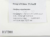 登錄號:F0017301藏品圖，第2張