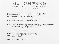 登錄號:F0017301藏品圖，第3張