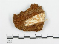 登錄號:F0017301藏品圖，第4張