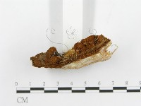 登錄號:F0017301藏品圖，第5張
