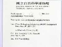 登錄號:F0017302藏品圖，第2張