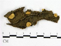 登錄號:F0017302藏品圖，第1張