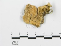 登錄號:F0017303藏品圖，第4張