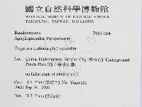 登錄號:F0017304藏品圖，第2張