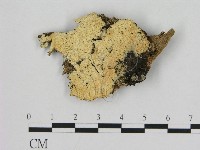 登錄號:F0017304藏品圖，第1張