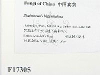 登錄號:F0017305藏品圖，第2張