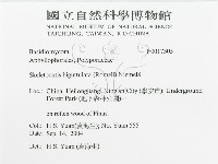 登錄號:F0017305藏品圖，第3張