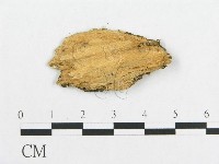 登錄號:F0017305藏品圖，第4張