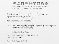 登錄號:F0017308藏品圖，第3張