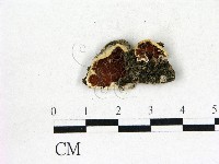 登錄號:F0017309藏品圖，第3張