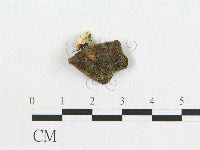 登錄號:F0017310藏品圖，第4張