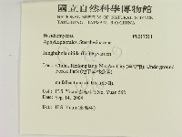 登錄號:F0017311藏品圖，第2張