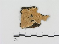 登錄號:F0017311藏品圖，第1張