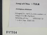 登錄號:F0017314藏品圖，第2張