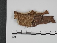登錄號:F0017314藏品圖，第1張