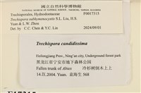 登錄號:F0017315藏品圖，第3張