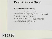 登錄號:F0017316藏品圖，第2張