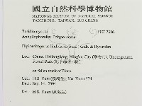 登錄號:F0017316藏品圖，第3張