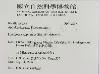登錄號:F0017317藏品圖，第2張