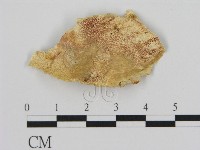 登錄號:F0017317藏品圖，第1張