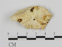 登錄號:F0017317藏品圖，第3張