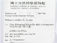 登錄號:F0017318藏品圖，第3張