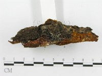 登錄號:F0017318藏品圖，第4張