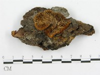 登錄號:F0017318藏品圖，第6張