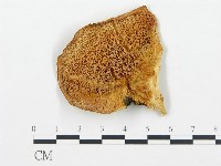 登錄號:F0017319藏品圖，第4張