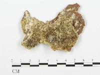 登錄號:F0017320藏品圖，第1張