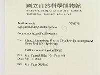 登錄號:F0017321藏品圖，第2張