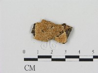 登錄號:F0017321藏品圖，第1張