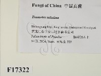 登錄號:F0017322藏品圖，第2張