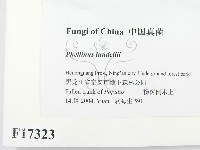 登錄號:F0017323藏品圖，第2張
