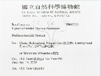 登錄號:F0017323藏品圖，第3張