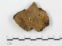 登錄號:F0017323藏品圖，第1張