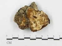 登錄號:F0017323藏品圖，第4張