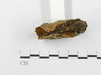 登錄號:F0017323藏品圖，第5張