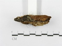登錄號:F0017323藏品圖，第6張