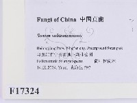 登錄號:F0017324藏品圖，第2張