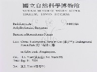 登錄號:F0017324藏品圖，第3張