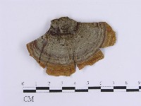 登錄號:F0017324藏品圖，第4張