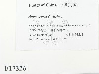 登錄號:F0017326藏品圖，第2張