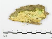 登錄號:F0017326藏品圖，第4張