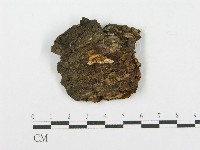 登錄號:F0017327藏品圖，第1張