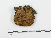 登錄號:F0017327藏品圖，第4張