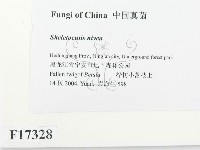 登錄號:F0017328藏品圖，第2張