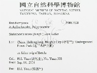 登錄號:F0017328藏品圖，第3張