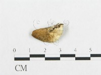 登錄號:F0017328藏品圖，第5張